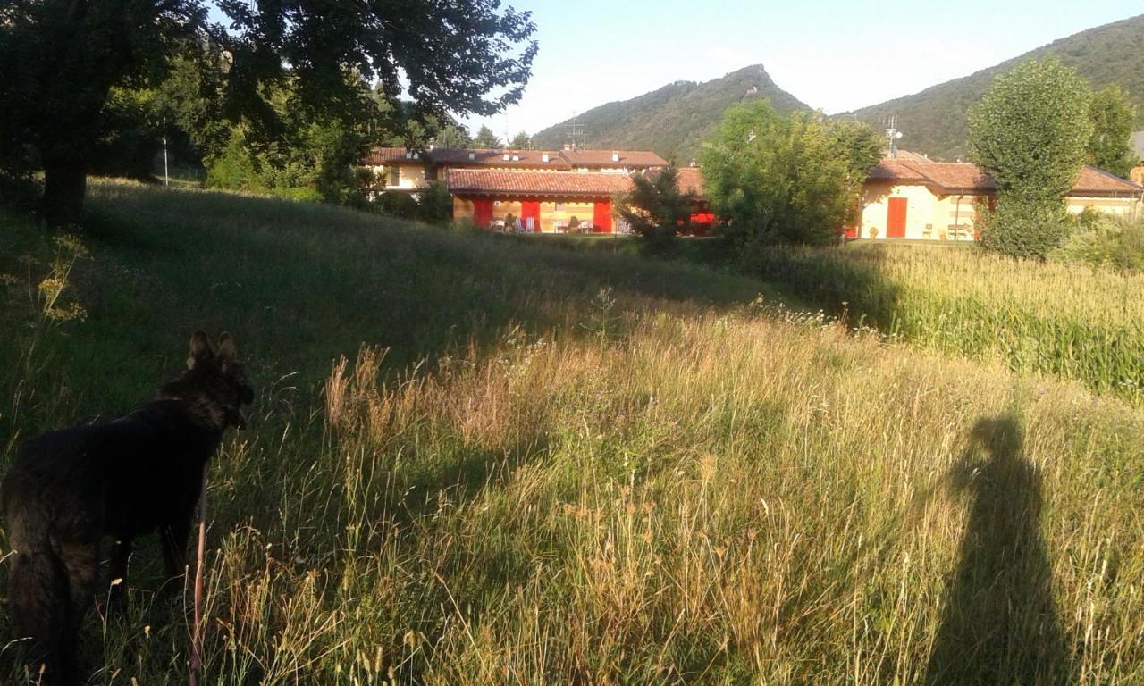Agriturismo Terra E Lago D'Iseo Franciacorta Paratico Exterior photo
